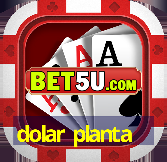 dolar planta